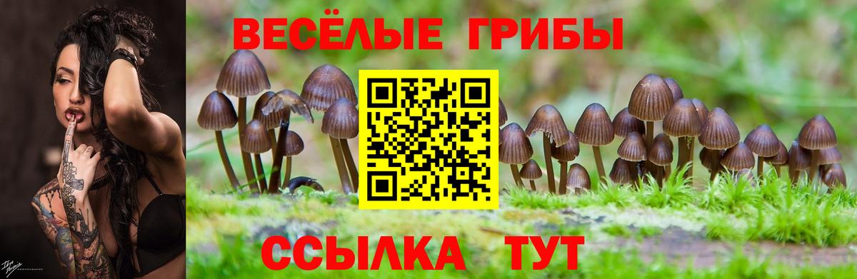 Галлюциногенные грибы Magic Shrooms  Вход с VPN  Мариинск  Псилоцибиновые грибы MAGIC MUSHROOMS 